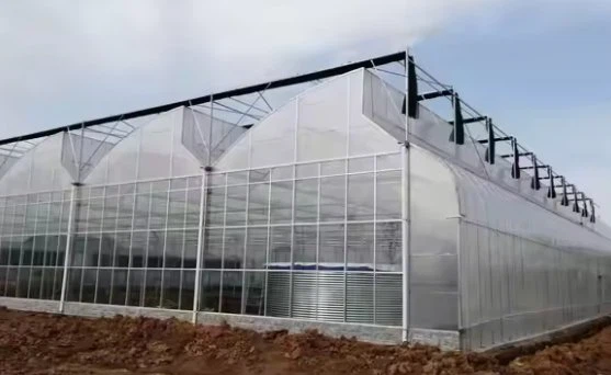 Gothic Arch Greenhouse