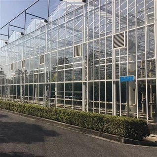Serre en verre à travées multiples pour l'agriculture intelligente