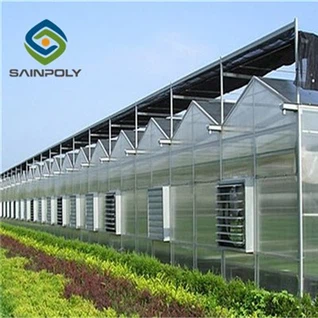 Serre à feuilles PC pour plantation de légumes à feuilles