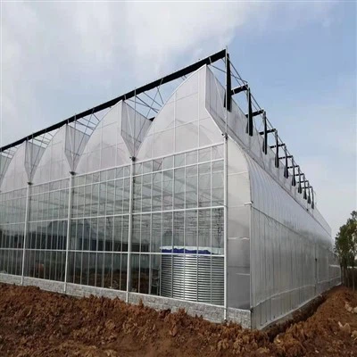 Serre avec ventilation de toit